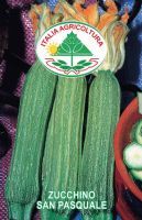 Zucchino San Pasquale